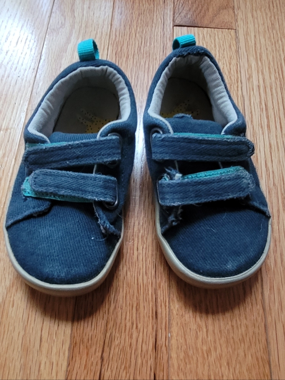 Ten Little Navy Canvas Hook-and-Loop Sneakers with Teal Accent- Size 7 Toddler
